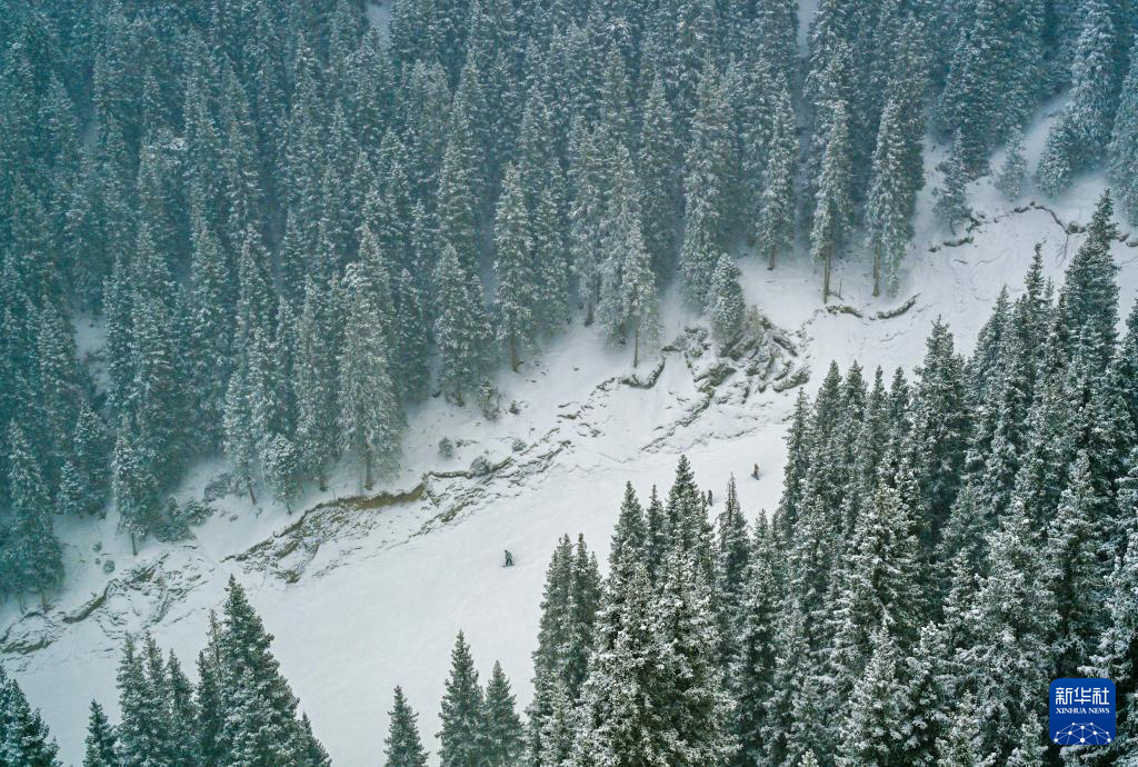 星空体育网站：冰雪运动成就新疆文旅新名片(图11)