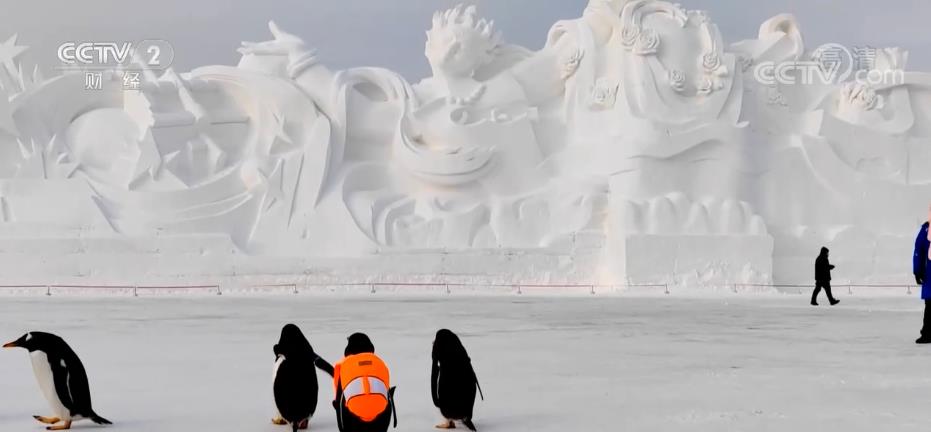 冰雪运动乐趣多冬季旅游持续升温(图2)