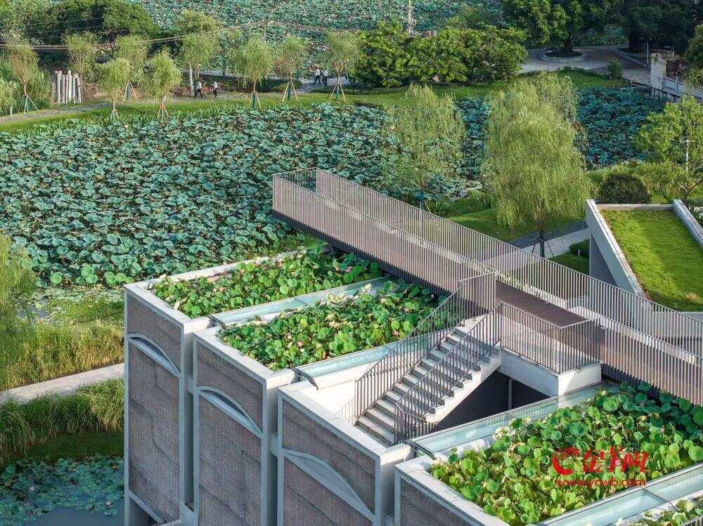 ｜万象共绘文旅韵！2025“羊城八景”评选活动专业调研走进广州花都(图5)